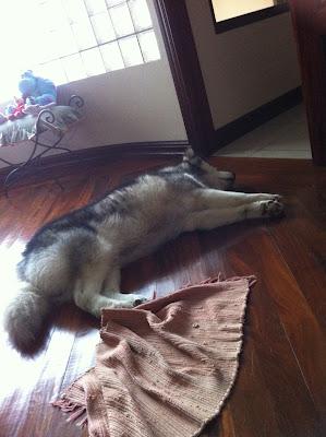 GALLETAS DE AVENA Y PASAS