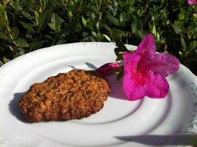 GALLETAS DE AVENA Y PASAS