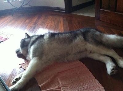GALLETAS DE AVENA Y PASAS