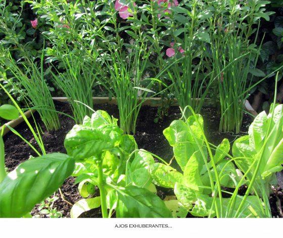 Me ha quedado un vacío…