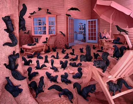 Fotografía -  Sandy Skoglund