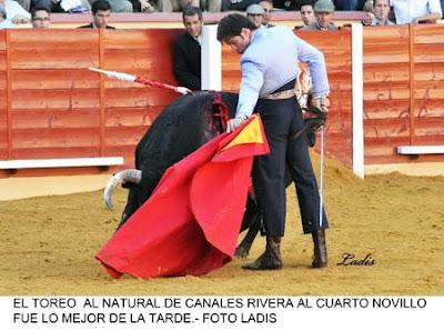 FESTIVAL MIXTO EN MONTORO: LOS TRES MATADORES LOGRARON TROFEOS