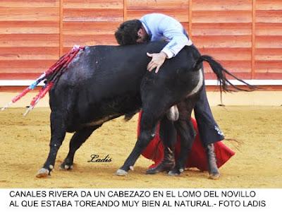 FESTIVAL MIXTO EN MONTORO: LOS TRES MATADORES LOGRARON TROFEOS