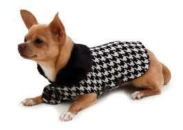 Pata de Gallo Pata de Gallo