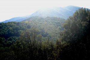 ¿Y SI HOY FUERA TU ÚLTIMO DÍA EN ESTE MUNDO?