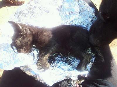 BEBE VICTIMA DE LAS INUNDACIONES EN MURCIA.