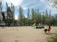 Jornadas de Agility en Madrid