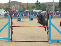 Jornadas de Agility en Madrid