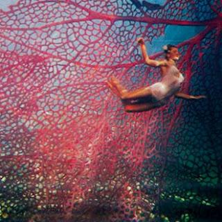 [Disco] El Hijo - Los Movimientos (2012)