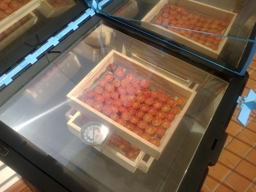 Preparación de tomates secos en el horno solar