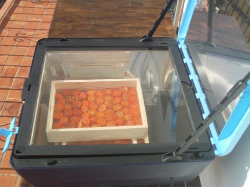 Preparación de tomates secos en el horno solar