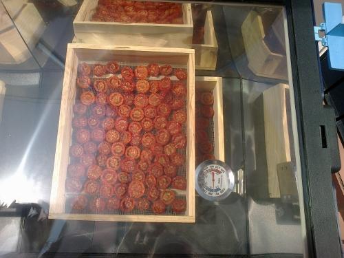 Preparación de tomates secos en el horno solar