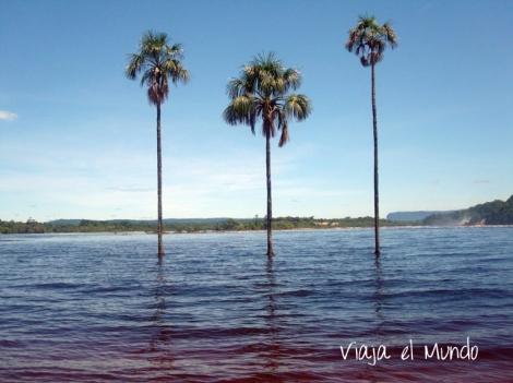 Un salto, silencio y varios recuerdos