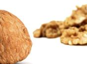 Nueces, regalo naturaleza