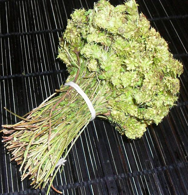 PRODUCTOS DE LA REGION................-