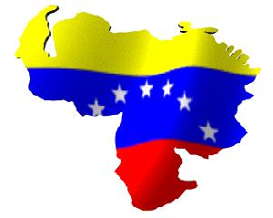 Venezuela, desunidos bajo una misma bandera