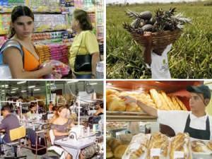 Como opera un Negocio