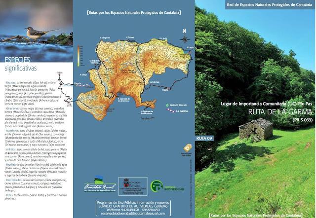 WEB AMIGA......................-