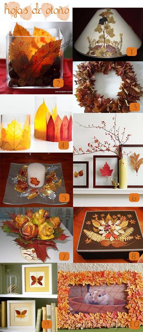 Recogiendo hojas de otoño