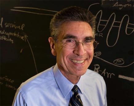 Las GPCR y el Premio Nobel de Química 2012