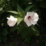 Reconstructing Eve Post: Want More Appreciation?