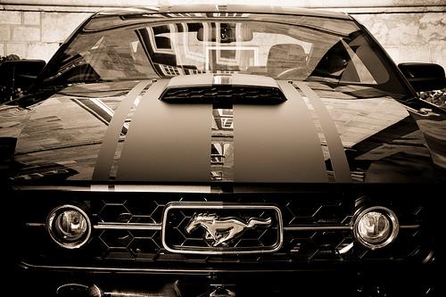 Mustang