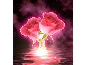 mayor riesgo: aprender vivir