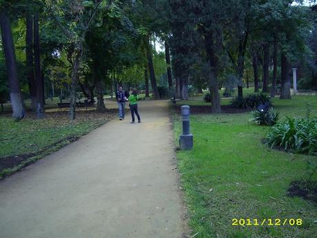 PASEANDO POR SEVILLA