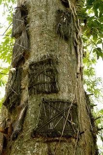 El extraordinario rito funerario de los Toraja