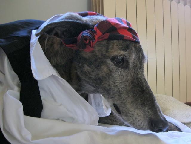 Como buen baturro en el día del Pilar...