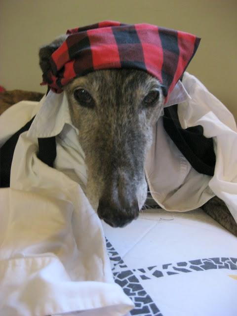 Como buen baturro en el día del Pilar...