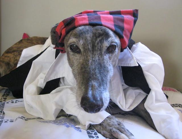 Como buen baturro en el día del Pilar...