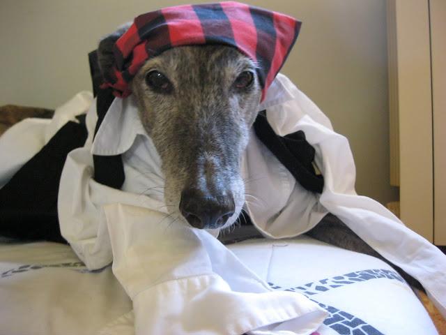 Como buen baturro en el día del Pilar...