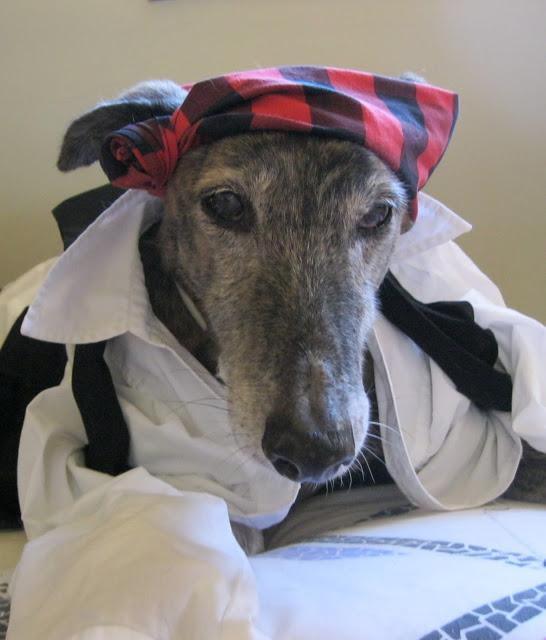 Como buen baturro en el día del Pilar...