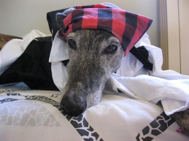 Como buen baturro en el día del Pilar...