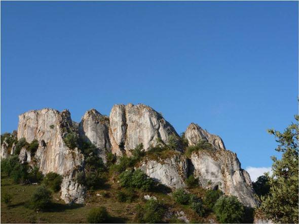 Buitres por Peñasendino