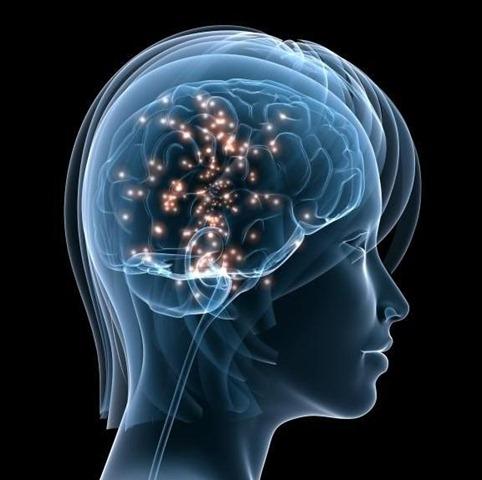 Datos curiosos sobre el cerebro