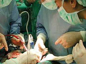 Guía para buen médico (2/3)