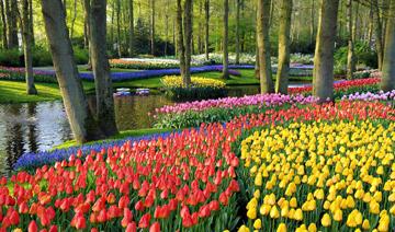 Si tuviera que ir a algún sitio a Europa durante este año...