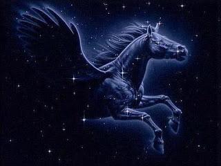 Pegaso!!!