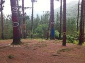Bosque