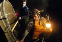 Las angulas vuelven al Guadalquivir