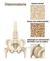 VITAMINAS (I): LA IMPORTANCIA DE LO VITAL