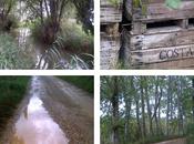 vuelta nuestro camino... Back path