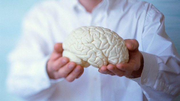 Enzima Dnmt3a2 tiene capacidad de influir en la memoria