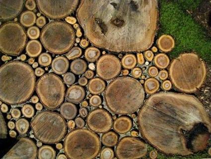 Paso de jardín realizado con troncos