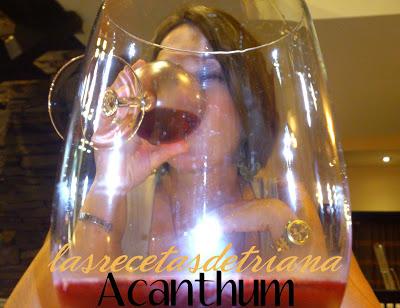 Acànthum...una noche única, llena de sensaciones!!!