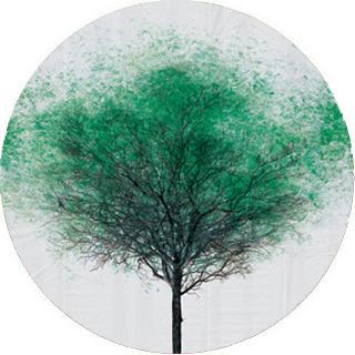 Pasos de peatones verdes