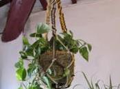 Practica macramé cuelga plantas