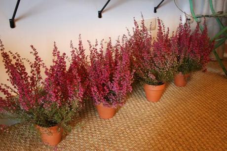 tienda 8 lab shop olivia jabones de cuidado segovia olivia soaps